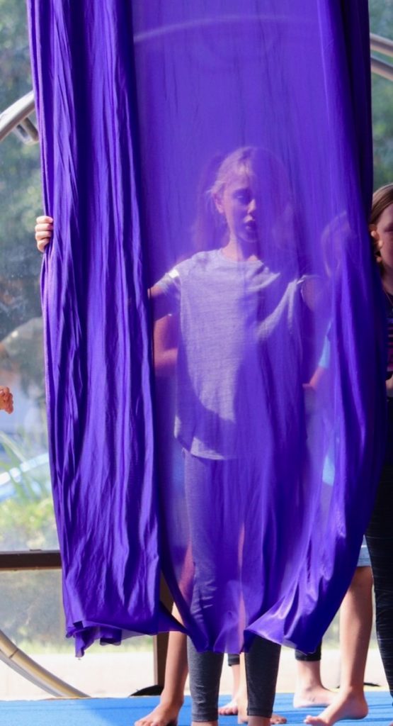 trapeze orlando